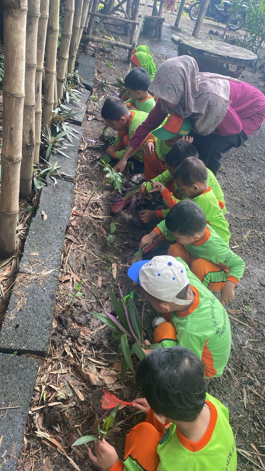 whatsapp image 2026 01 10 at 09.10.35